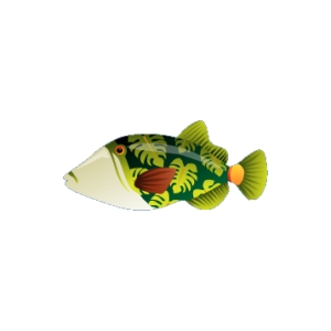 Tropical Leaf Triggerfish